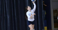 athlete